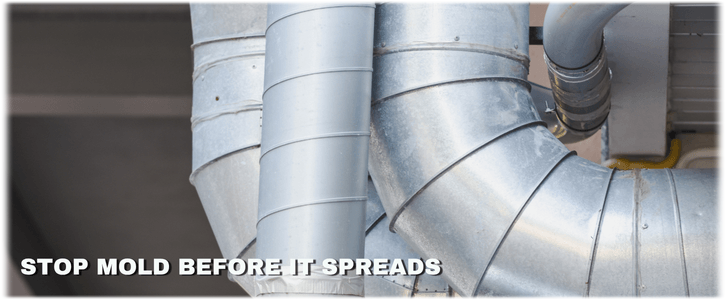 Air Duct Mold Removal in Lakewood NJ